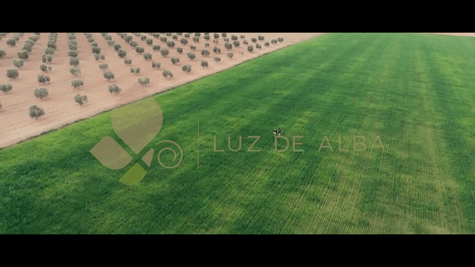 finca luz de alba