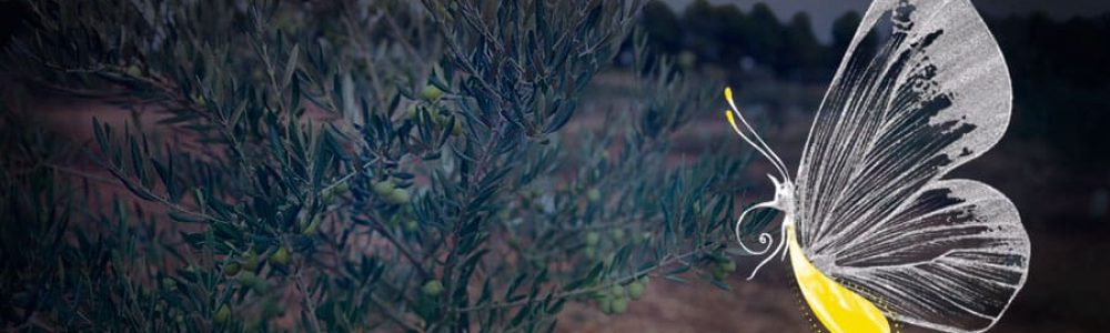 01-blog-04